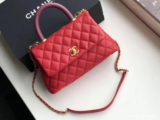 HyperPeter HANDLE COCO BAG CHANEL 0723